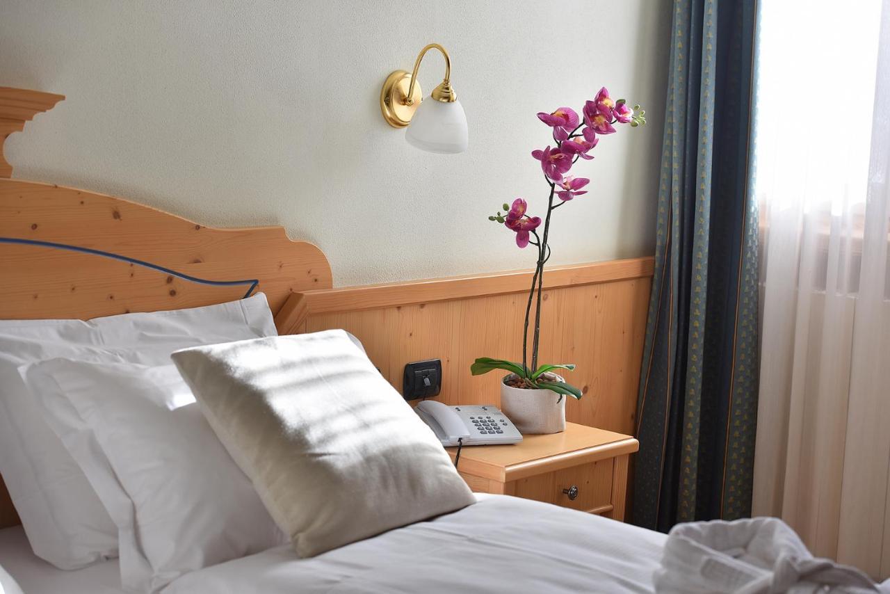 Double or Twin Room Mountain View